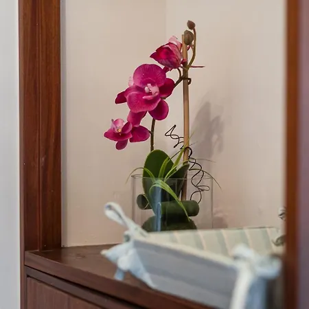 Guestready - Warwick Avenue In Lapa Apartment Porto