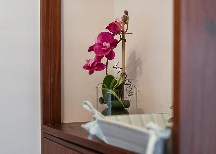 Guestready - Warwick Avenue In Lapa 公寓 波尔图